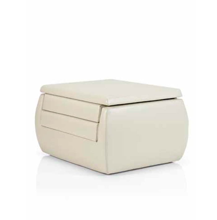 Upholstery and Furniture