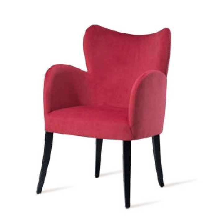 Upholstery and Furniture