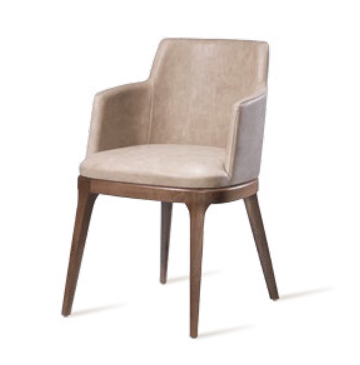 Upholstery and Furniture