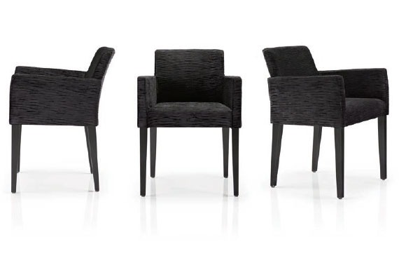 Upholstery and Furniture