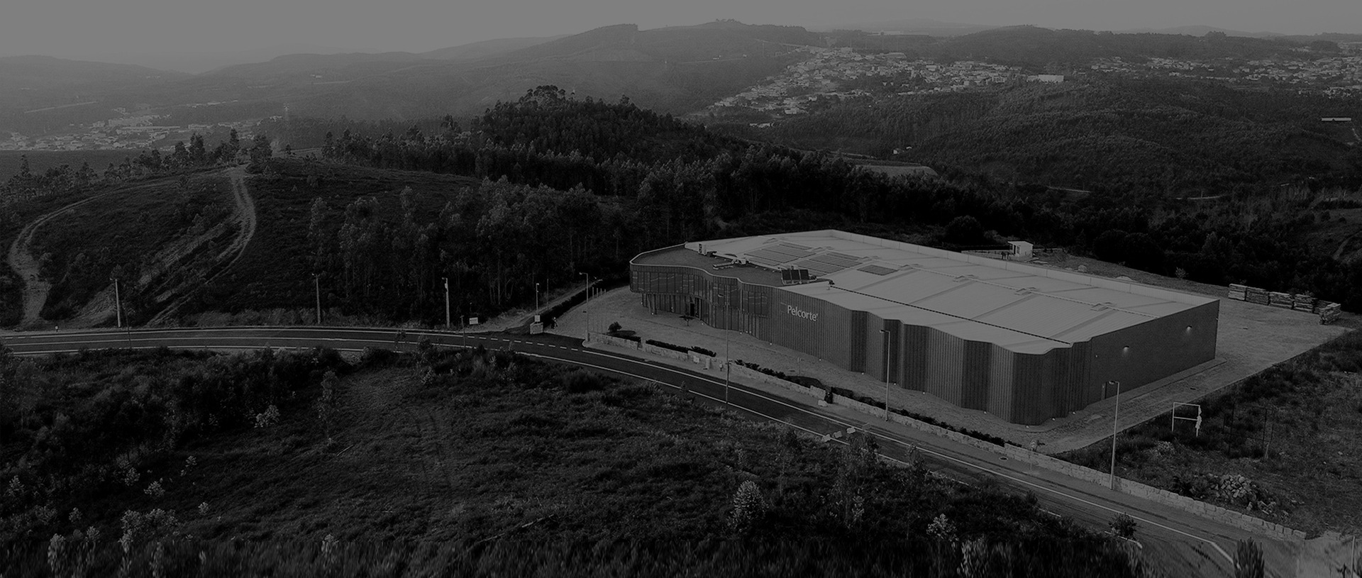 Upholstery and Furniture